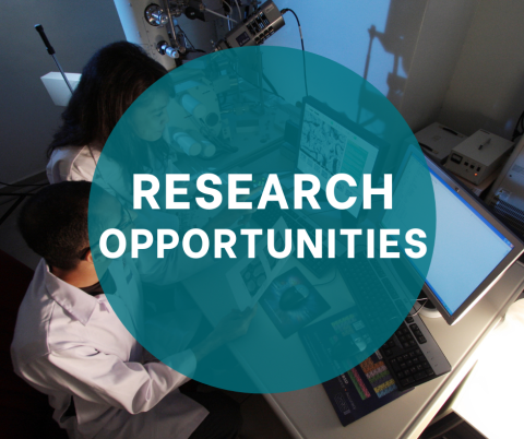 Research Opportunities