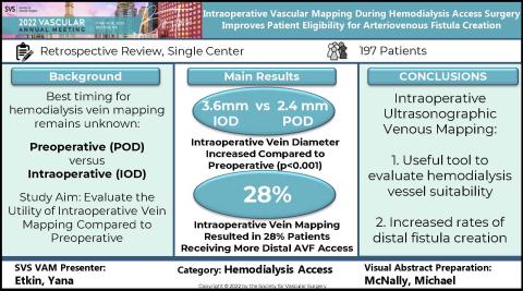 Visual Abstract Week 11