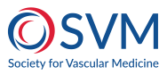 SVM logo