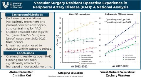 Week 13 Visual Abstract