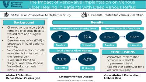 Visual Abstract Week 4