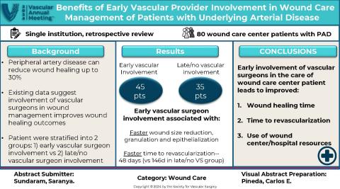 Visual Abstract Week 9 2024