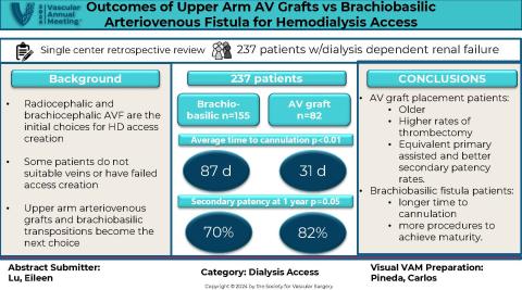 Visual Abstract Week 14